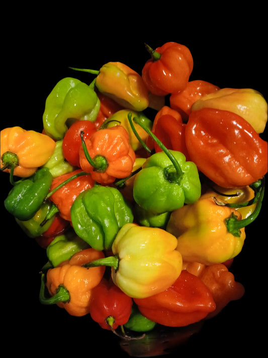 Habanero sea salt