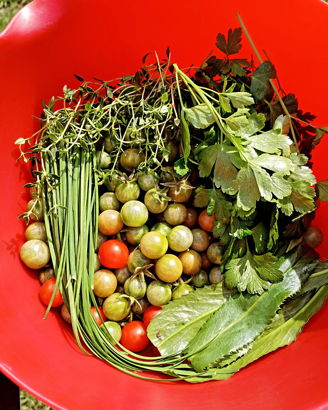Dry Sofrito